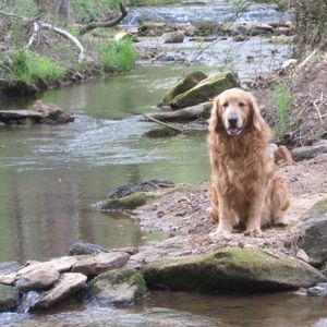 Meet your Posher, Jake